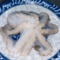 现货批发短腿章鱼整只冷冻鱿鱼须海鲜大章鱼足鱿鱼头八爪鱼海产品