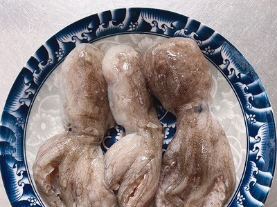 现货批发短腿章鱼整只冷冻鱿鱼须海鲜大章鱼足鱿鱼头八爪鱼海产品图2