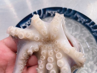现货批发短腿章鱼整只冷冻鱿鱼须海鲜大章鱼足鱿鱼头八爪鱼海产品图3