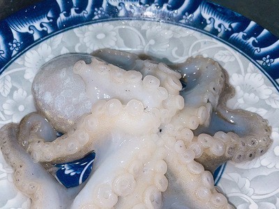 现货批发短腿章鱼整只冷冻鱿鱼须海鲜大章鱼足鱿鱼头八爪鱼海产品图5