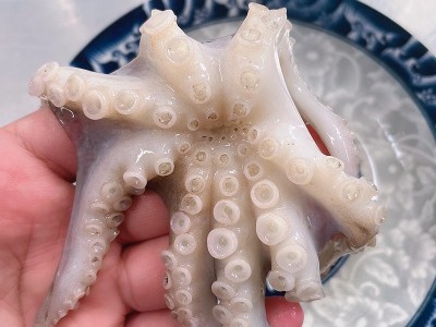 厂家现货鲜活速冻小八爪鱼火锅自助食材短腿章鱼冷冻海鲜水产图5