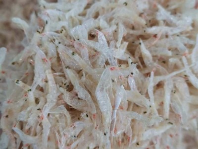 【工厂供应】荣成特产生干虾皮生晒烘干海鲜干货新鲜儿童辅食500g图5
