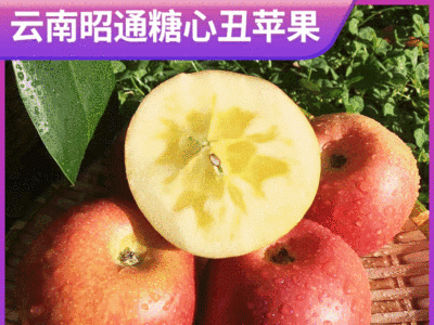 云南昭通糖心丑苹果 中果7千克装应季苹果 现摘一件代发脆甜水果图4