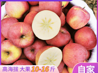 云南昭通糖心丑苹果新鲜多汁苹果 5-8千克多规格新鲜苹果基地现发图5