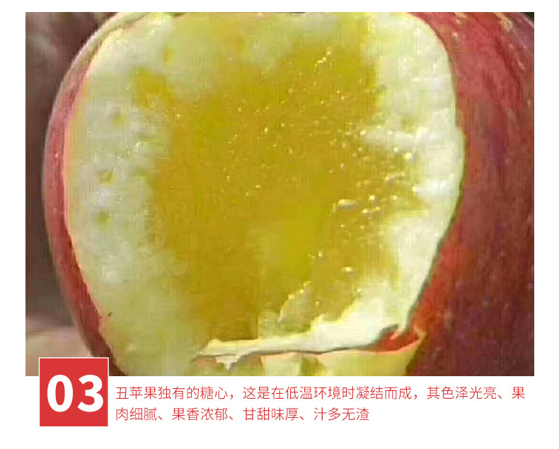 昭通丑苹果~大_09