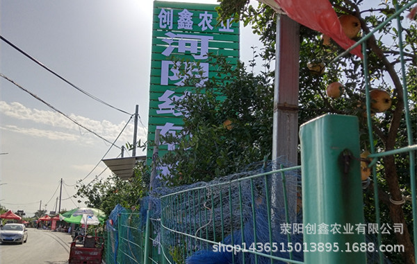 IMG_20180922_154502_副本