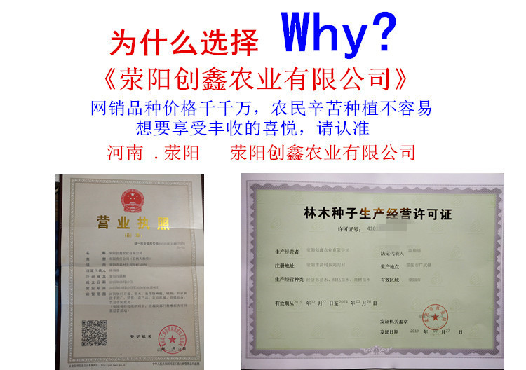 马赛克
