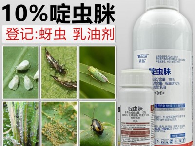 10%啶虫脒桃树蚜虫腻虫蓟马飞虱绿叶蝉跳甲杀虫剂药1000克啶虫咪图5