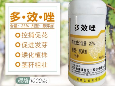 25%多效唑调节剂控旺剂矮壮素多效坐控梢矮化植株健壮1000克包邮图5