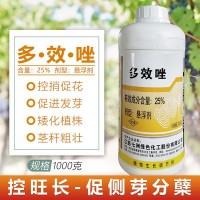 25%多效唑调节剂控旺剂矮壮素多效坐控梢矮化植株健壮1000克包邮