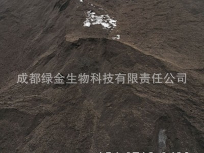 酒糟粉 动物饲料原料 绿金高新旗下宜宾酒糟粉生产基地 蛋白丰富图3
