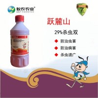 29%杀虫双500克*30瓶果树甘蔗茶树螟虫蔬菜水稻杀虫剂农药