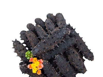 淡干海参辽参刺参冻干海参干货500g海生批发礼盒装非即食图2