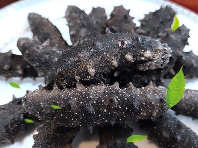 淡干海参辽参刺参冻干海参干货500g海生批发礼盒装非即食图5