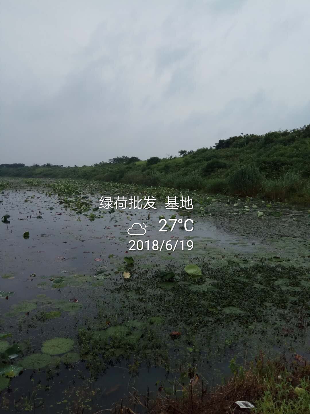 天然基地2