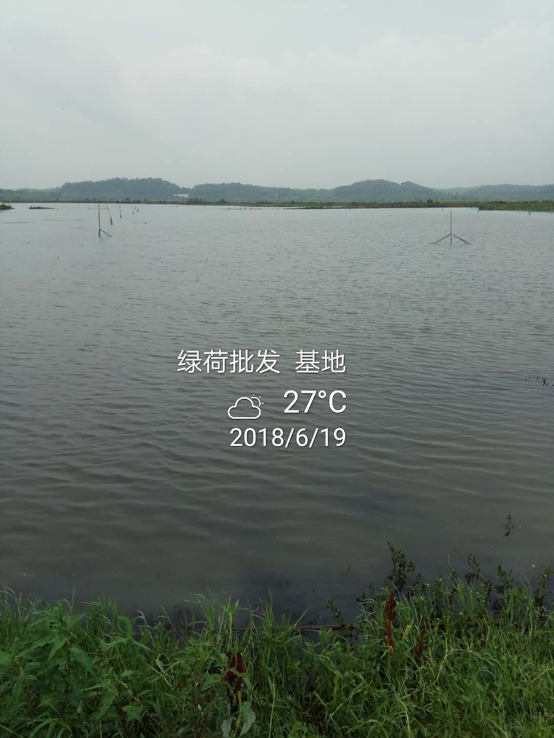 天然基地