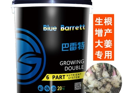 氨基酸水溶肥 生根壮苗冲施肥 改良土壤生姜专用液体水溶肥进口图5