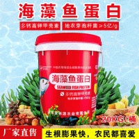 批发甲壳素黄腐酸钾肥料 生根壮苗剂果树海藻鱼蛋白桶装水溶肥