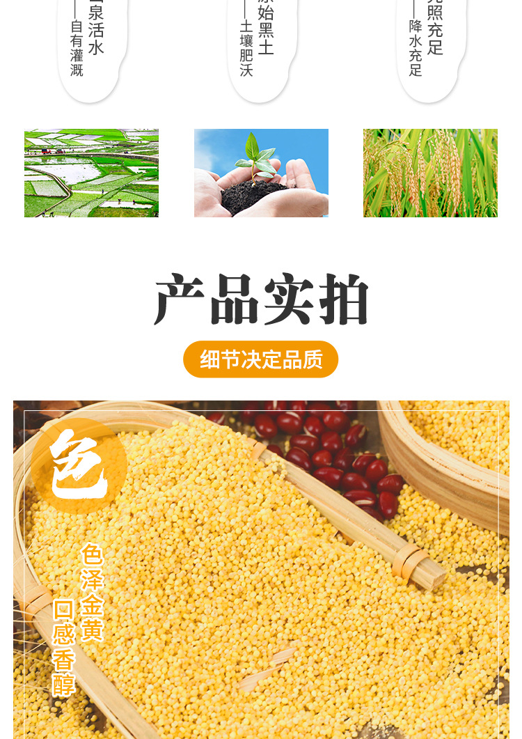 详情(3)_04.jpg