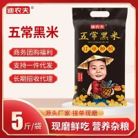 农家新米五常黑米5斤东北大米2.5kg香梗米胚芽米黑米粥米厂家批发