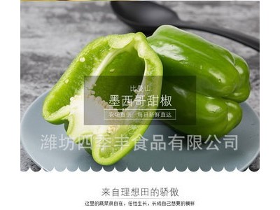 圆椒青椒新鲜净菜 青红椒整个瓣条新鲜蔬菜 餐厅超市供应生产批发图2