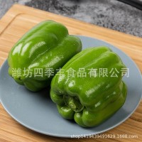 圆椒青椒新鲜净菜 青红椒整个瓣条新鲜蔬菜 餐厅超市供应生产批发