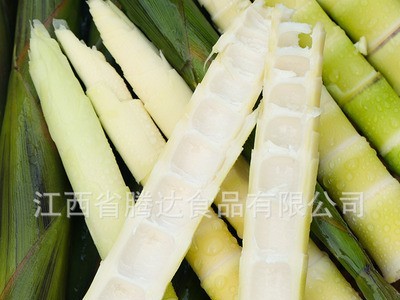 新鲜小竹笋鲜嫩笋尖罗汉笋清水笋丝片春笋串串火锅笋厂家直供批发图3