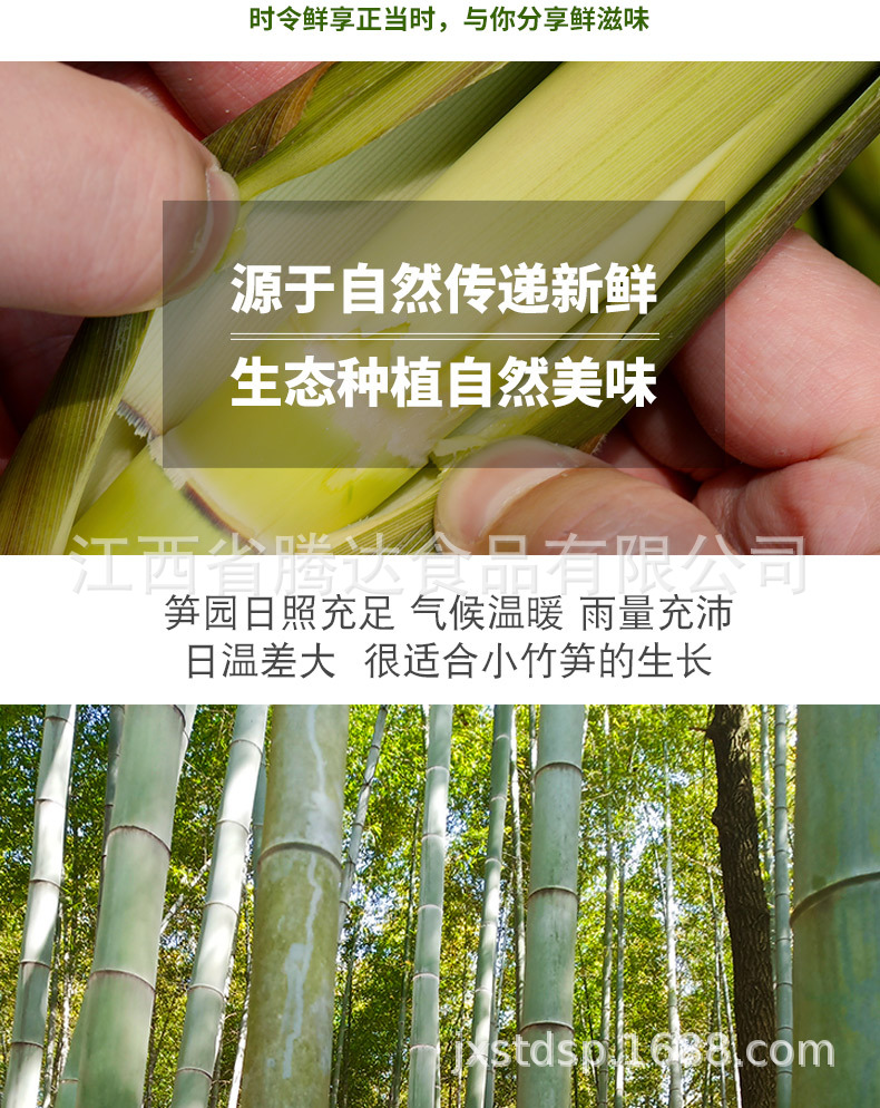 裁切_05.jpg
