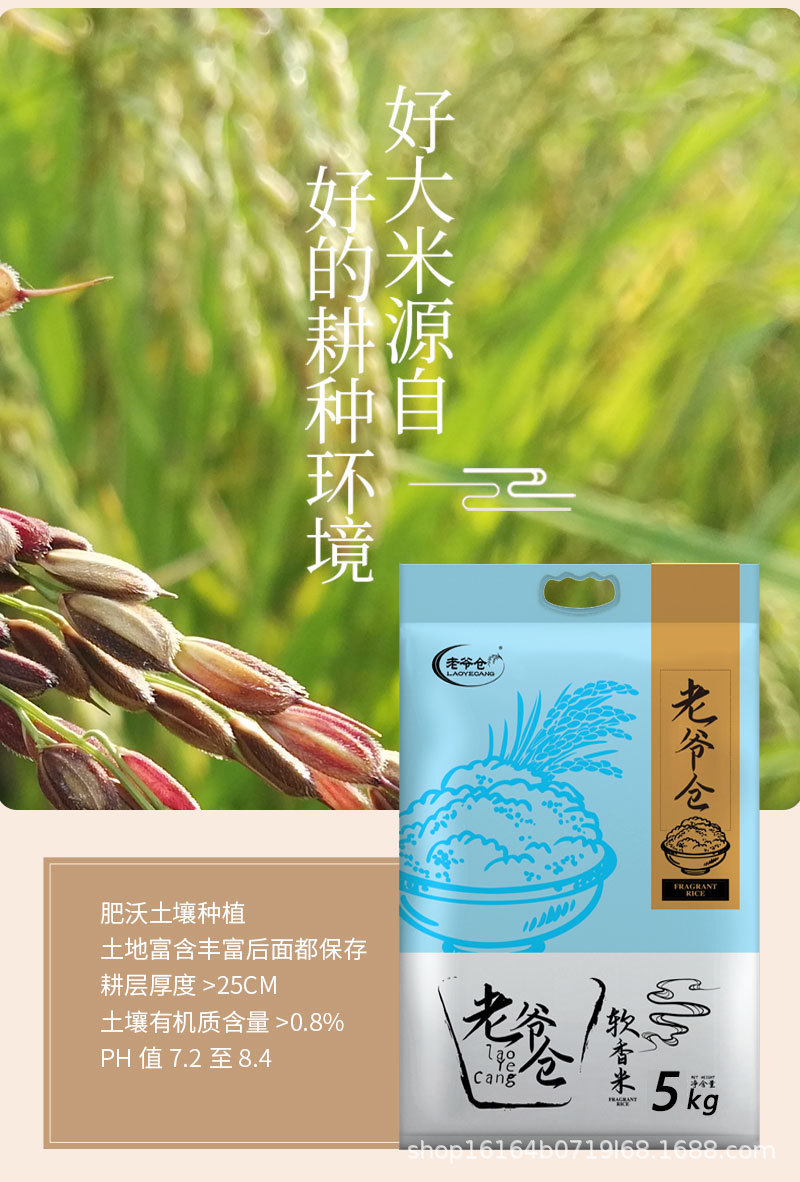 软香米详情_04.jpg