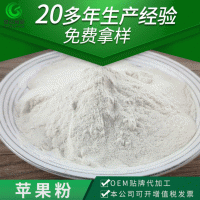 冲饮果蔬粉 水果粉 固体脱水果蔬粉厂家直供批发