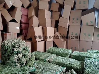 产地直发无叶贡菜 散装云南贡菜干苔菜干 火锅店专用脱水蔬菜图3