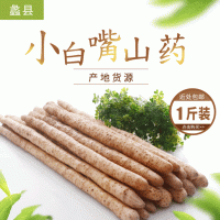 蠡县加粗小白嘴山药1斤装新鲜垆土铁棍麻山药 现挖淮山铁杆麻山药