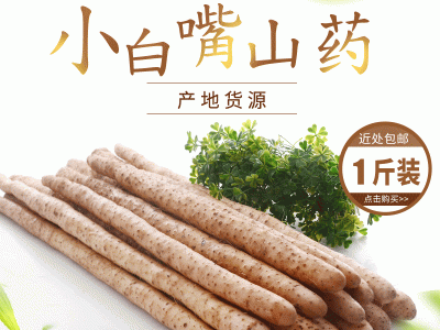蠡县加粗小白嘴山药1斤装新鲜垆土铁棍麻山药 现挖淮山铁杆麻山药图5