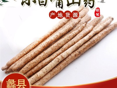 蠡县产地批发新鲜垆土铁棍淮山药现挖铁杆麻山药五斤小白嘴山药图5