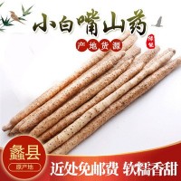 蠡县产地批发新鲜垆土铁棍淮山药现挖铁杆麻山药五斤小白嘴山药