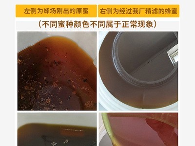 厂家批发桶装蜂蜜原料供应75kg百花蜜 洋槐花蜂蜜土蜂蜜蜂场直售图2