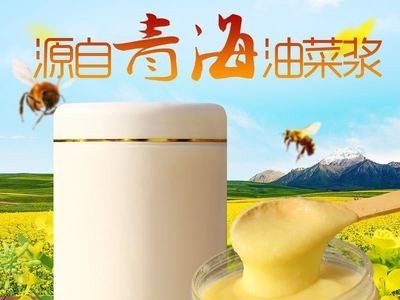 蜂皇浆新鲜蜂王浆蜂农自产新鲜蜂王浆冷冻蜂王浆 500g/瓶可代发货图3