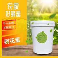 厂家直供紫荆花蜂蜜25KG批发荆花桶装土蜂蜜荆花蜜