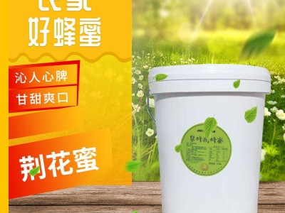 厂家直供紫荆花蜂蜜25KG批发荆花桶装土蜂蜜荆花蜜图5
