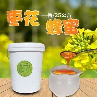 厂家直供现货散装枣花蜜 桶装蜂蜜 批发代加工oem自酿原蜂蜜