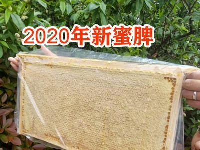 2020年新脾 整脾4到5斤包邮 蜂巢蜜蜂蜜整张蜂巢蜜图2