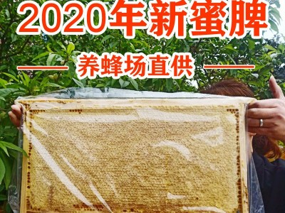 2020年新脾 整脾4到5斤包邮 蜂巢蜜蜂蜜整张蜂巢蜜图5