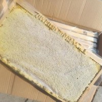 2020年新脾 整脾4到5斤包邮 蜂巢蜜蜂蜜整张蜂巢蜜