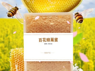 蜂巢蜜百花荆条蜂巢蜜500g批发散装土蜂蜜批发蜂蜜贴牌厂家蜂巢蜜图3