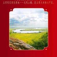 现货批发 黑龙江五常大米 香米 5kg 10斤 可一件代发