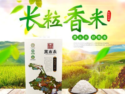 2021新款黑龙江长粒香米富硒长粒香米新米无抛光东北大米厂家供应图4