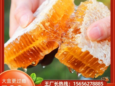 2021年白荆条蜂巢蜜上新社区团购直播礼盒装农家自产洋槐巢蜜批发图5
