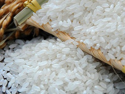 蒋巷吉利米业黄花香粘大米10kg 25kg特产农产品厂家直批代发图3