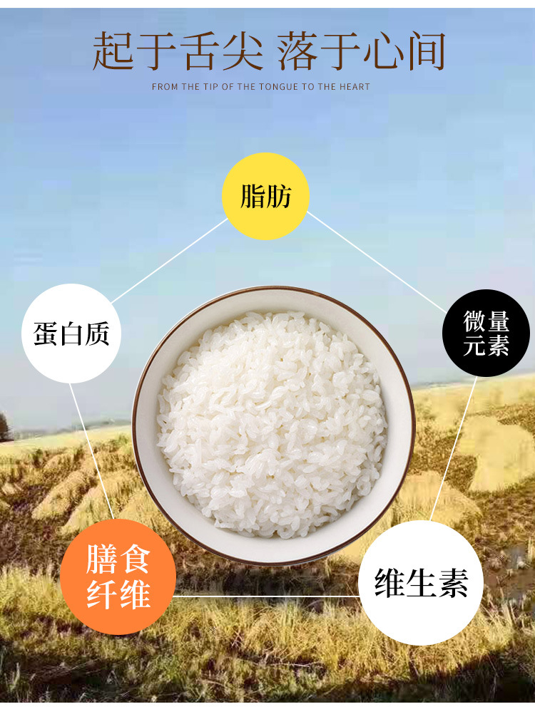 详情_02