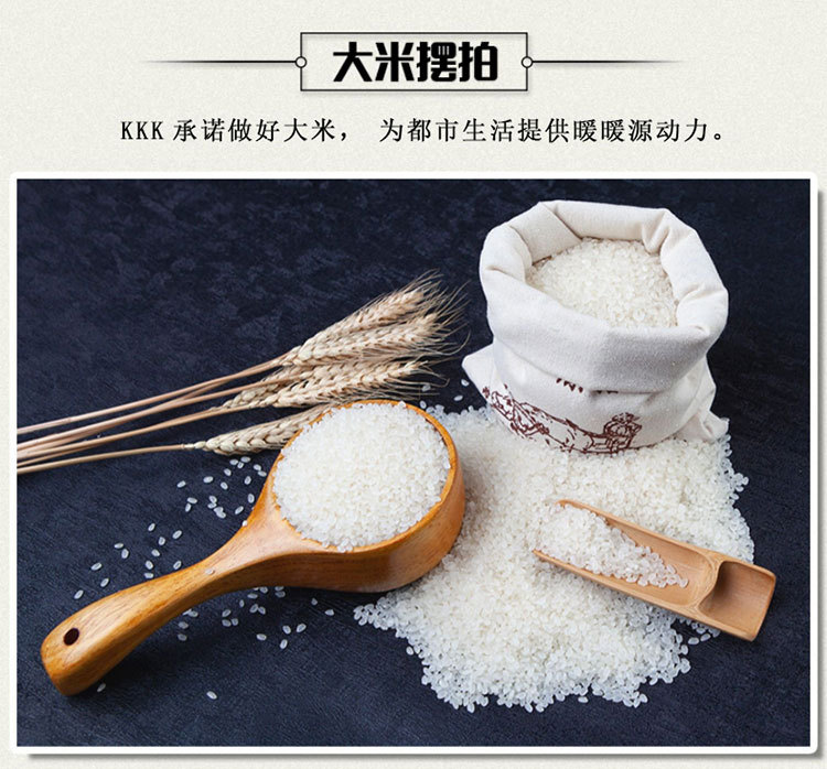 东北大米_06.jpg